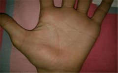 解析住豪宅的手相,这些人不知道会让多少人羡