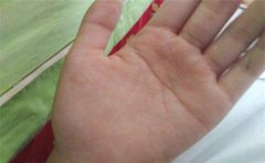 马云手相看运势的发展