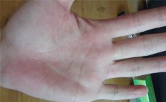 马云手相,何为富贵手相