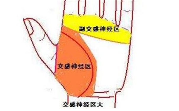 掌纹诊断疾病