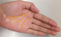 还好事业线复杂的人不多,不然社会就太可怕了