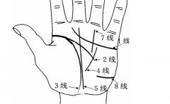 从手掌看一个人的运势，这些手相特征其实很常