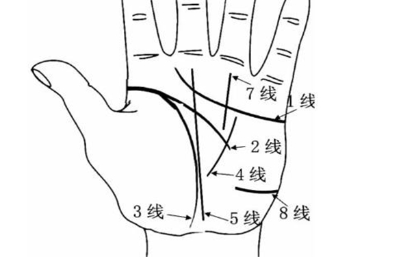 从手掌看