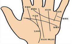 婚姻不顺的手相，以感情线为例进行分析