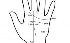 事业线弯曲且分叉的手相，没有也可以了解一下