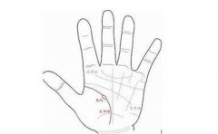 手相健康线于我们而言非常重要，了解它很有必