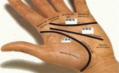 分析一个手指斗都没有的手相是否是好手相