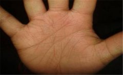 手腕线掌纹分析运势,这些特征都非常重要