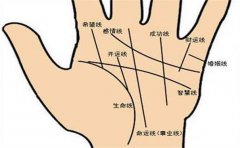 感情线出现十字纹情况多,挑最常见的进行分析