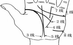 女人感情线三分叉手相寓意多,运势都很不错