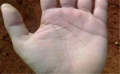 <b>花钱很厉害的手相，一般人养不起这样的女人</b>