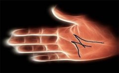 手相的看法，手相预示了很多信息，一起来看看