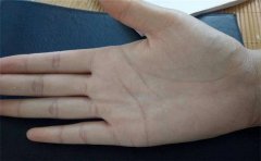 有钱手相女解读