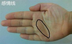 看看事业线止于智慧线这种手相到底有何寓意