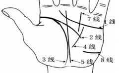 看手相金库分析财运，有这种手相的会富贵一生