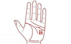 <b>这几种烂桃花手相你见过吗</b>