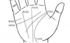 手相分析：从指关节手相看一个人的命运