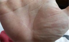 指关节手相分析理解，手相要这么看