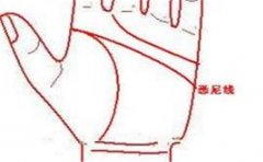 有长寿的手相，不会有大病大灾，必定长命百岁