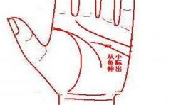 什么样的手相是长寿的手相，有什么特点