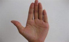 适合经商的手相是怎样的，一起来看看