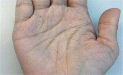 <b>可以去经商的手相有什么特征呢</b>