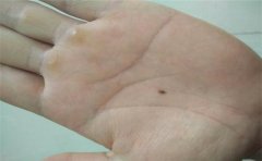 手相图解大全，这些手相之人伴侣的颜值不会低