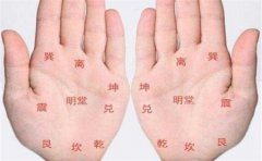 手相手指粗运势如何