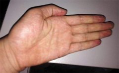 女人右手手相图解大全，这五大掌纹很重要