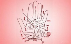 <b>男人左手掌纹图解大全，这几个掌纹都很重要</b>