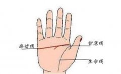 女人手相运势好，这些手相会上榜，看看有无你