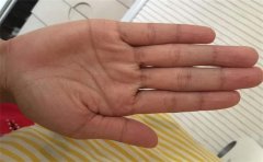 手相色，好色手相有哪些