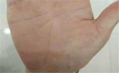 常见的花心的手相有哪些特征