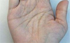 男断掌手相运势如何