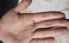 聪明的手相有哪些特征