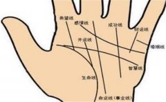 桃花运的手相有哪些