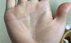 适合经商手相有哪些