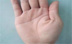 手相解读，经商手相有哪些特征