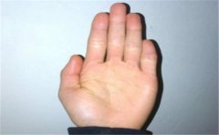 聪明的手相有什么特征