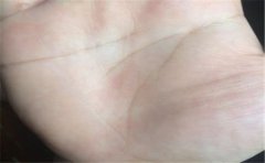 女人有财运手相有什么特征