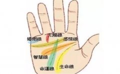 手相钱财，财运较好的手相有哪些