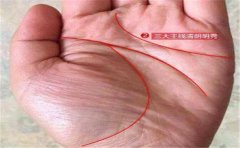 <b>财富手相图：财富不错的手相有哪些</b>