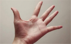 一个老实人的手相会有哪些特征