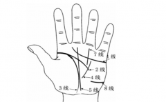 什么样的手相是一个没有福气的手相