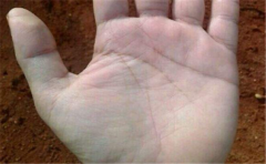 看看你自己的手相是不是一个没有福气的手相