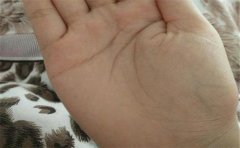 川字手掌纹多吗？这种手相又意味着什么呢