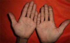 女人掌纹分三叉，以感情线为例对此进行分析