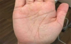 有没有钱看掌纹哪里？可以看的掌纹是很多的