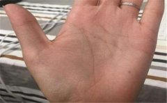 掌纹呈现M状的人事业运好，这些手相是它的同伴