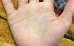 掌纹事业线短的人事业就不好吗？要具体分析